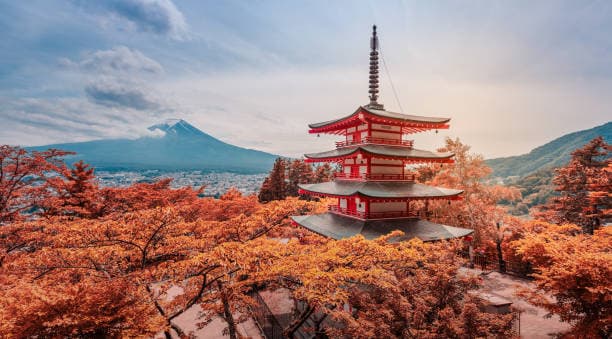 Welcome to Japan