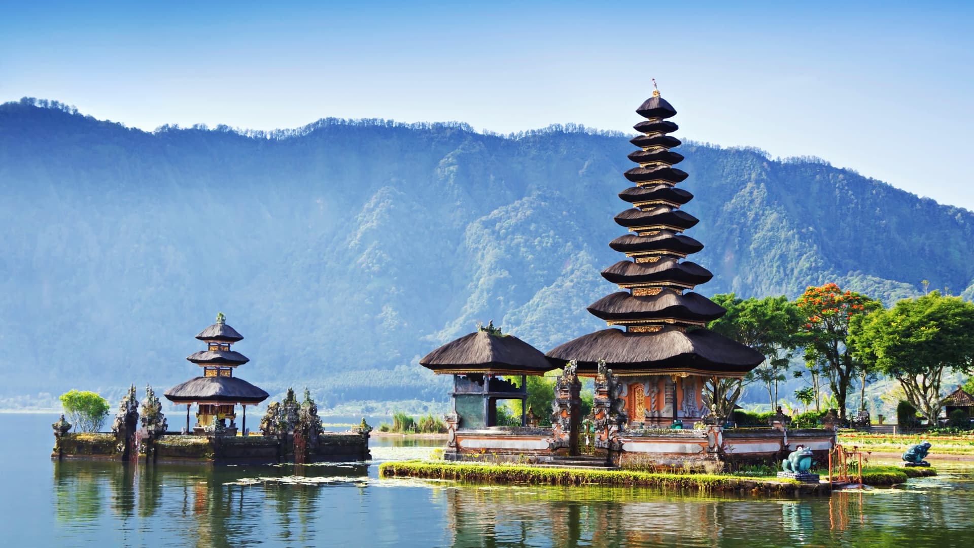 Welcome to Bali